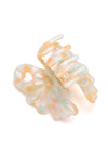 Large Jelly Claw Clip Set of 4 - Maple Row Boutique